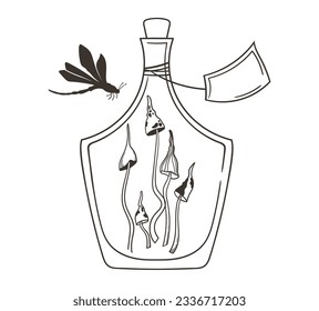 Magic masson jar with mystical mushrooms or amanita and dragonfly isolated clip art, hand drawn glass bottle and celestial plants vector black and white composition