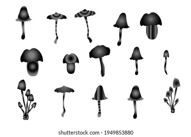 Magic monochrome mushrooms. Psychedelic hallucination. Poisonous inedible black and white  mushrooms. Vibrant vector clipart. Fairy Tales illustration on white background.