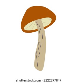 Magic mushroom forest decorative in natural colors. Сhanterelle, agaric, death cap. Autumn forest. Hand drawn vector illustration