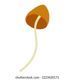 Magic mushroom forest decorative in natural colors. Сhanterelle, agaric, death cap. Autumn forest. Hand drawn vector illustration