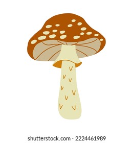 Magic mushroom forest decorative in natural colors. Сhanterelle, agaric, death cap. Autumn forest. Hand drawn vector illustration