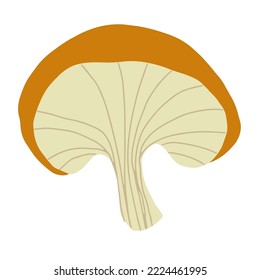Magic mushroom forest decorative in natural colors. Сhanterelle, agaric, death cap. Autumn forest. Hand drawn vector illustration