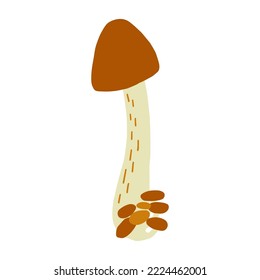 Magic mushroom forest decorative in natural colors. Сhanterelle, agaric, death cap. Autumn forest. Hand drawn vector illustration