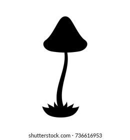 Magic mushroom silhouette Psilocybe semilanceata