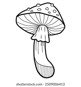 Magic mushroom vector hand drawn illustration. Boho chic tattoo, poster print design vector line art illustration