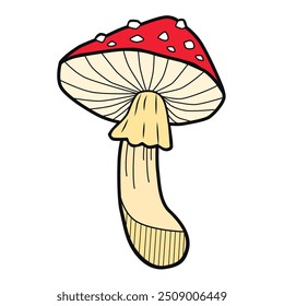 Magic mushroom vector hand drawn illustration.