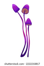 Magic mushroom vector illustration isolated on white.