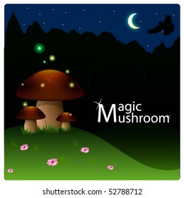 Magic Mushrooms