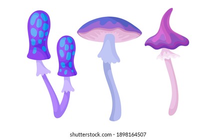 Magic Mushrooms with Bright Cap and Stipe Vector Set