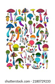 Magic mushrooms collection. Background for your design. Vector illustration