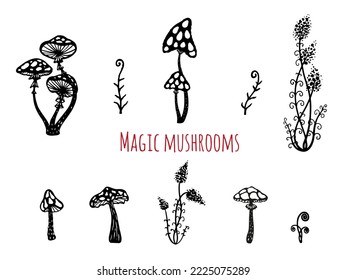 Magic mushrooms, fern, grass, enchanted garden