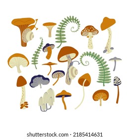 Magic mushrooms and ferns forest decorative compositions set in natural colors. Сhanterelle, agaric, death cap. Autumn forest. Handdrawn vector illustration