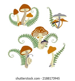 Magic mushrooms and ferns forest decorative compositions set in natural colors.  Сhanterelle, agaric, death cap. Autumn forest.  Hand drawn vector illustration