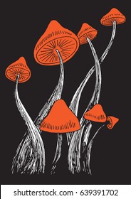 Magic Mushrooms Hand Drawing Illustration