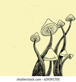 Magic Mushrooms Hand Drawing Illustration