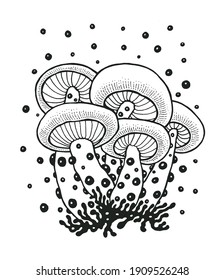 Magic mushrooms. Hand drawn design element. Engraving style. Vector illustration