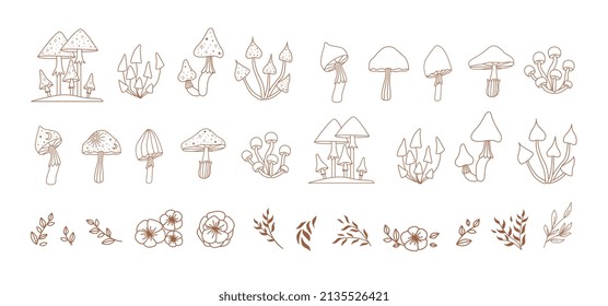 Magic mushrooms and plants in line, vector