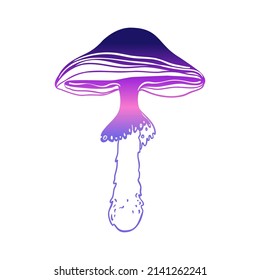 Los hongos mágicos.  Alucinación psicodélica. Ilustración vectorial de color degradado aislada en blanco. Arte hippie trippy de los años 60. 