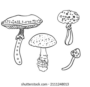 Los hongos mágicos.  Alucinación psicodélica. Ilustración del vector de contorno aislada en blanco. Arte hippie de los años 60. Libro de colorear para niños y adultos. 