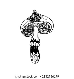 Magic Mushrooms Psychedelic Hallucination Outline Vector Stock Vector ...