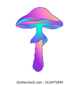 Los hongos mágicos. Alucinación psicodélica. Ilustración vectorial vibrante aislada en blanco. Arte hippie colorido de los años 60 en colores ácidos vivos. Pegatina, parche, diseño gráfico de afiches.