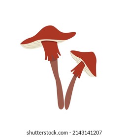 Magic mushrooms.  An unusual mystical forest poisonous mushroom. A hand-drawn element for your design. Cartoon style. Vector clipart on an isolated white background.