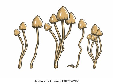 Magic Mushrooms Vector Illustration