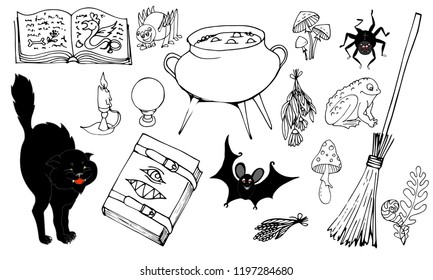 Magic objects, set of elements on a white background, Grimoire, pot with potion, ingredients, herbs, toad, spider, cat, bat, vector illustration,