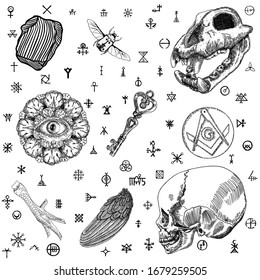 Magic occult set. Hand drawn occultism mystical witchcraft set for spell book and potion cook. Key, human and monkey skull, eye, crystal, chicken foot, bug, insect, bird wing, mason symbol. Vector.