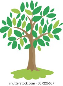 magic olive tree