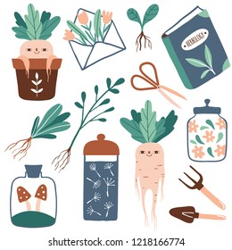 Magic plants. Herbology. Ingredients for magical potions. Witchcraft things set: herbs, mushrooms, cute mandrake, gardening tools. Funny cartoon vector illustration 