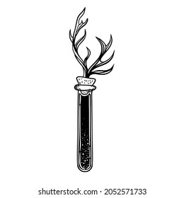 Magic potion: black bottle with deer antler. Vector illustration isolated on white. Spirituality, occultism, chemistry, magic tattoo concept.