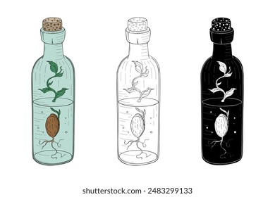 Magic Potion Bottles with growing plant