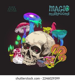 Magic psychedelic card or banner design with human skull and poisonous toadstool narcotic mushrooms, hand drawn colorful vector illustration on black background.