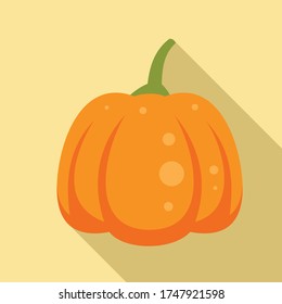 Magic pumpkin icon. Flat illustration of magic pumpkin vector icon for web design