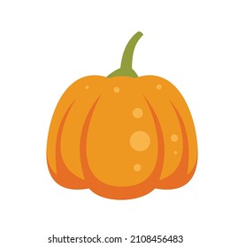 Magic pumpkin icon. Flat illustration of magic pumpkin vector icon isolated on white background
