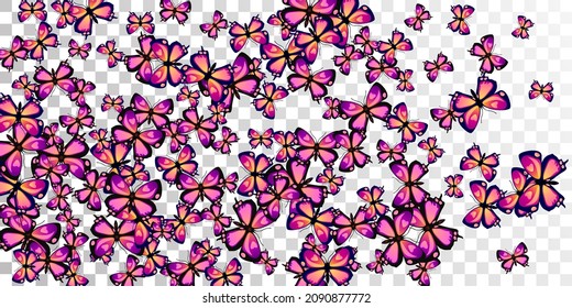Magic purple butterflies flying vector wallpaper. Spring beautiful insects. Fancy butterflies flying dreamy illustration. Delicate wings moths graphic design. Fragile creatures.