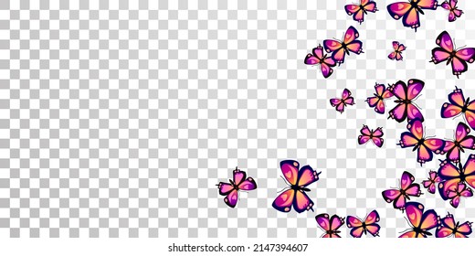 Magic purple butterflies flying vector background. Summer cute insects. Detailed butterflies flying kids illustration. Gentle wings moths graphic design. Nature creatures.