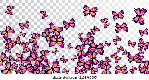 Magic purple butterflies flying vector background. Spring colorful moths. Decorative butterflies flying fantasy wallpaper. Tender wings insects graphic design. Garden beings.