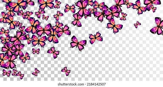 Magic purple butterflies flying vector background. Summer funny insects. Decorative butterflies flying girly wallpaper. Gentle wings moths graphic design. Garden creatures.