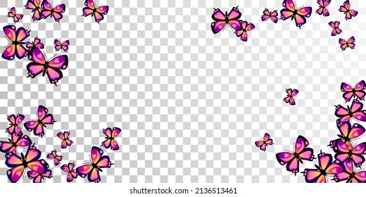 Magic purple butterflies isolated vector illustration. Summer pretty moths. Detailed butterflies isolated baby background. Gentle wings insects graphic design. Fragile beings.