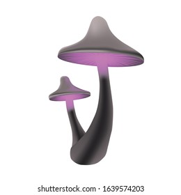 Magic purple mushrooms glowing. Vector illustration. White isolation.