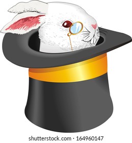 Magic rabbit in the hat. Rabbit. Magician show with rabbit. 