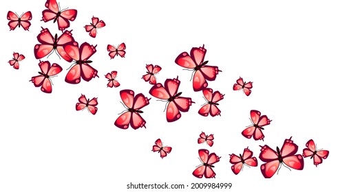 Magic red butterflies abstract vector background. Summer colorful moths. Fancy butterflies abstract dreamy illustration. Gentle wings insects graphic design. Garden creatures.