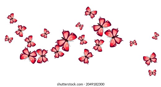Magic red butterflies flying vector illustration. Summer ornate insects. Simple butterflies flying girly background. Tender wings moths graphic design. Garden creatures.