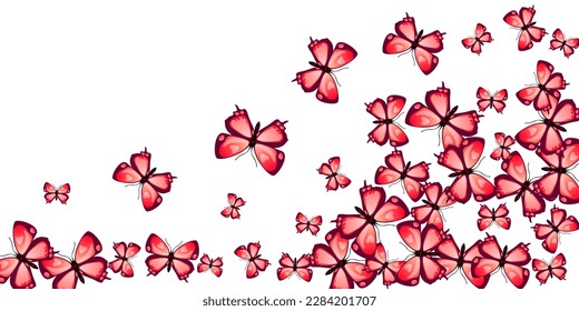 Magic red butterflies isolated vector wallpaper. Spring cute moths. Simple butterflies isolated dreamy illustration. Tender wings insects graphic design. Nature beings.