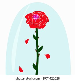 magic red rose under glass 