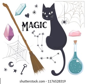 Magic set, cat, potion, broom, web, vector