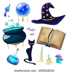 Magic set with fortune telling ball, black cat, spell book, mushrooms, cauldron of potion, candles, hat isolated on white background. Vector cartoon items for the witch.