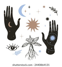 Magic set with mystical hands, sun, moon, star, plant, mandrake flowers, leaf, all-seeing eye hand drawn isolated vector illustration. Design boho background for print, card, paper, logo, paper, sign